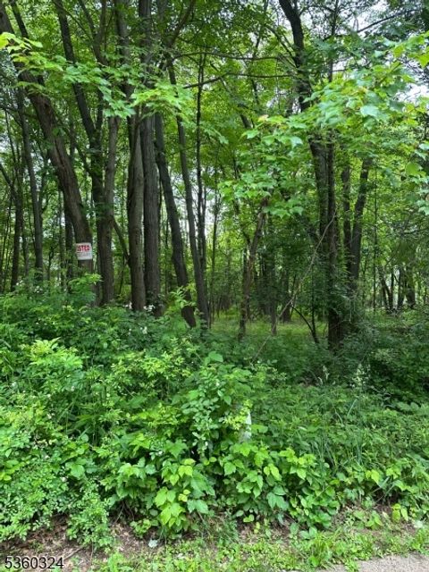 35 Grassman Pl Berkeley Heights Twp. NJ 07922