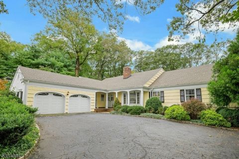 97 Skyline Dr Morris Twp. NJ 07960