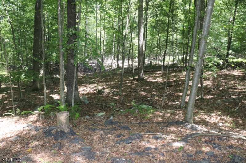 26 Fawn Run