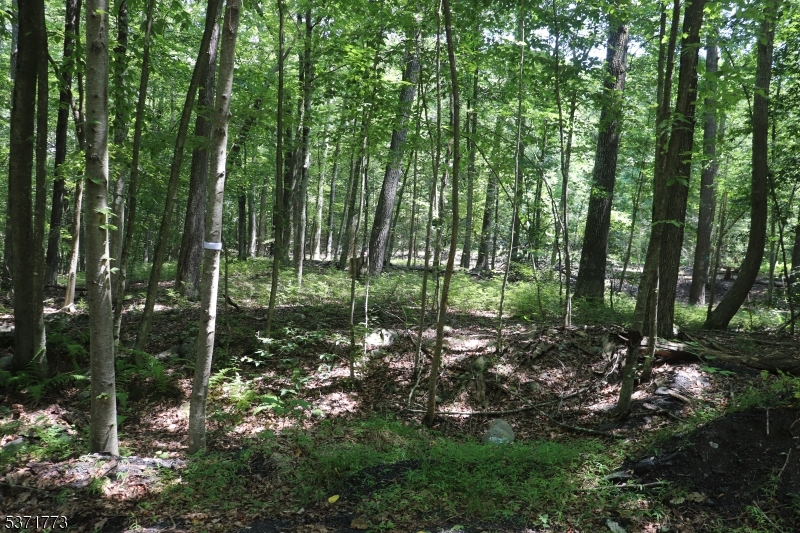 26 Fawn Run