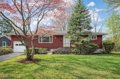 10 Laurel Pl West Caldwell Twp. NJ 07006