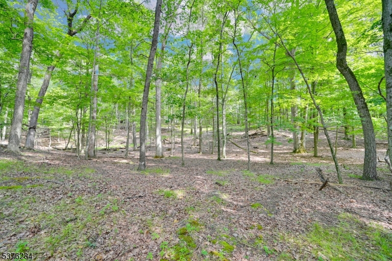 51 Paulinskill Lake Rd