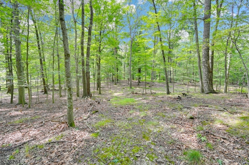 51 Paulinskill Lake Rd