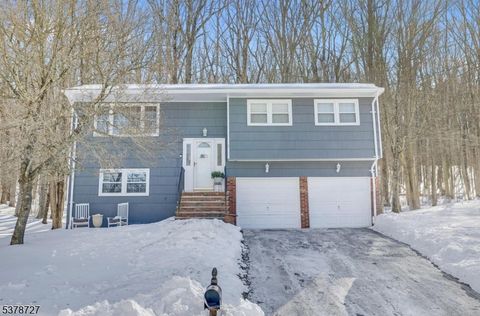 44 Deer Path Dr Mount Olive Twp. NJ 07836