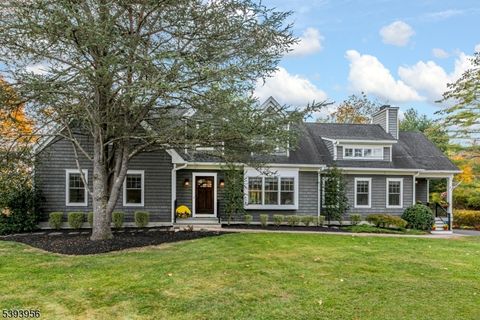 31 Marian Dr Montgomery Twp. NJ 08502