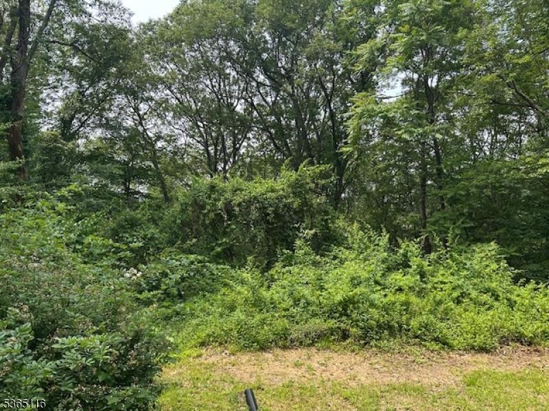 903A Green Pond Rd