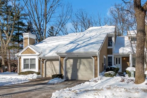 21 Stone Run Rd Bedminster Twp. NJ 07921