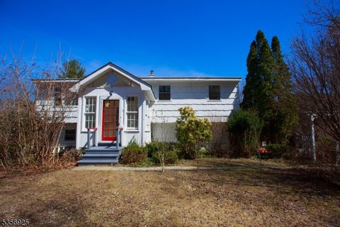 50 Mountain View Ave Washington Twp. NJ 07853
