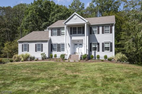 34 Wilkeshire Blvd Randolph Twp. NJ 07869