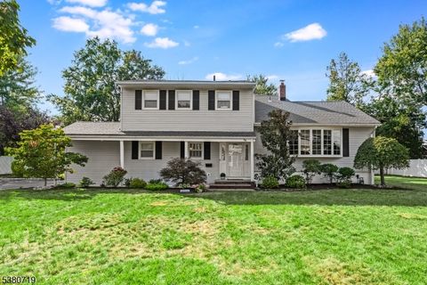 54 White Place Clark Twp. NJ 07066