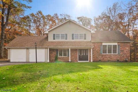 Photo of 27 Jefferson Dr, Roxbury, NJ 07836 (MLS # 3995354)