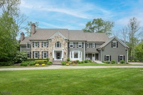 51 Post Kennel Rd Bernardsville Boro NJ 07931