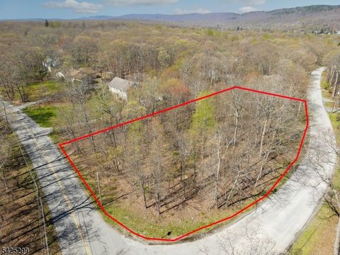 51 E Shore Lake Owassa Rd Frankford Twp. NJ 07826