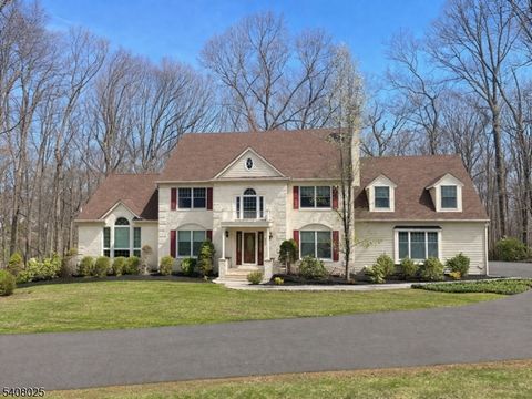 6 Bluebird Ct Raritan Twp. NJ 08822