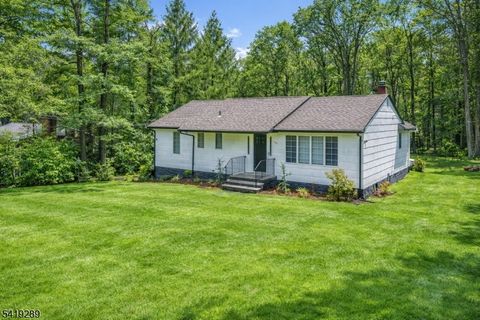 163 La Rue Rd West Milford Twp. NJ 07435