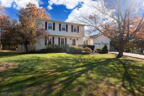 Photo of 4 Marshall Rd, Hillsborough, NJ 08844 (MLS # 3995231)