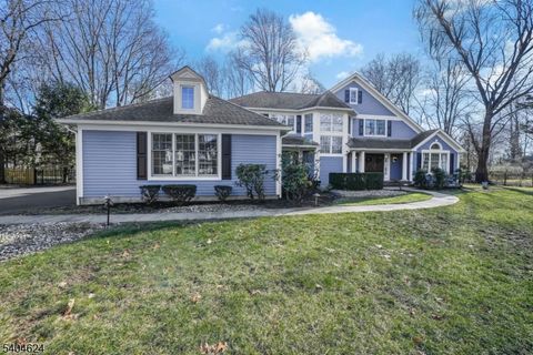 3 Old Lane Ext Montville Twp. NJ 07082