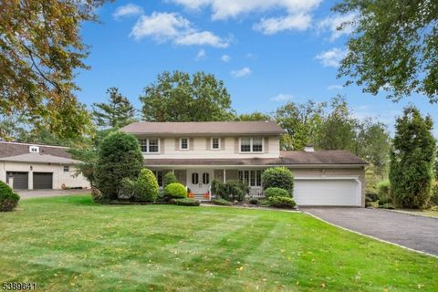 232 Beechwood Ct Mountainside Boro NJ 07092