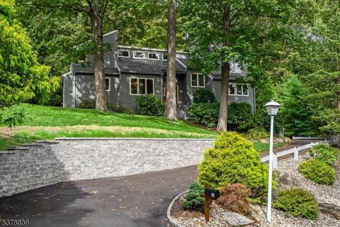 28 Laurel St Morris Plains Boro NJ 07950