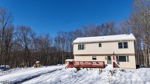 24 Plaza Dr Hampton Twp. NJ 07860