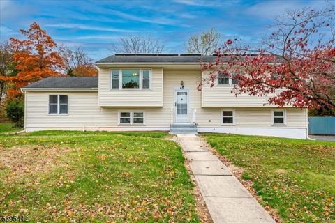 Photo of 45 Mitchell Ave, Piscataway, NJ 08854 (MLS # 3996394)