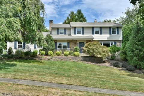20 Pleasantview Dr North Haledon Boro NJ 07508