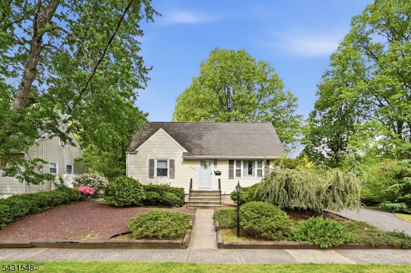 264 Fern St