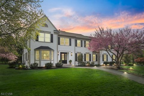 71 Ridgeview Dr Montgomery Twp. NJ 08502