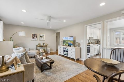 97B Troy Dr B Springfield Twp. NJ 07081