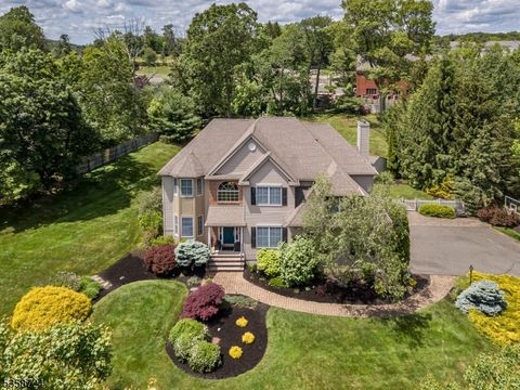 9 Blue Bird Ct Randolph Twp. NJ 07869