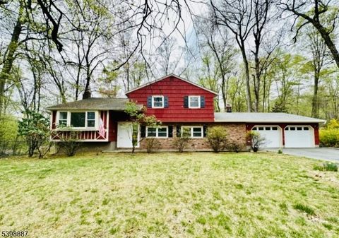 50 Dolly Dr Parsippany-Troy Hills Twp. NJ 07054