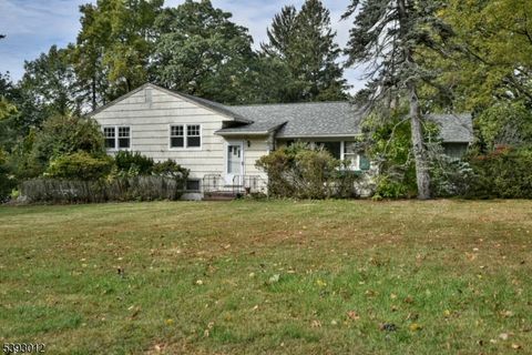 25 Orchard Dr Upper Saddle River Boro NJ 07458