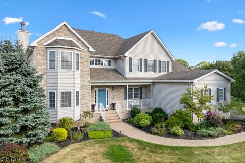 41 White Meadow Rd Hillsborough Twp. NJ 08844