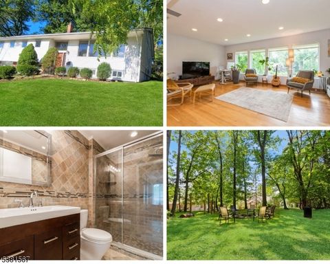 11 Shadowlawn Dr Livingston Twp. NJ 07039