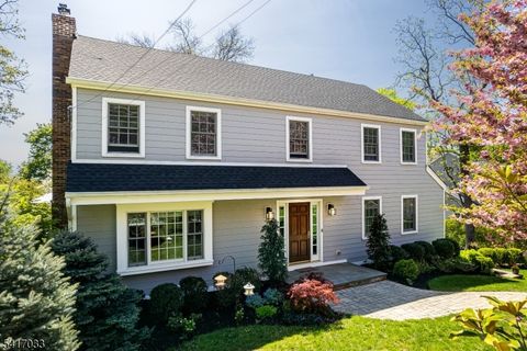 16 Nicholson Dr Chatham Twp. NJ 07928