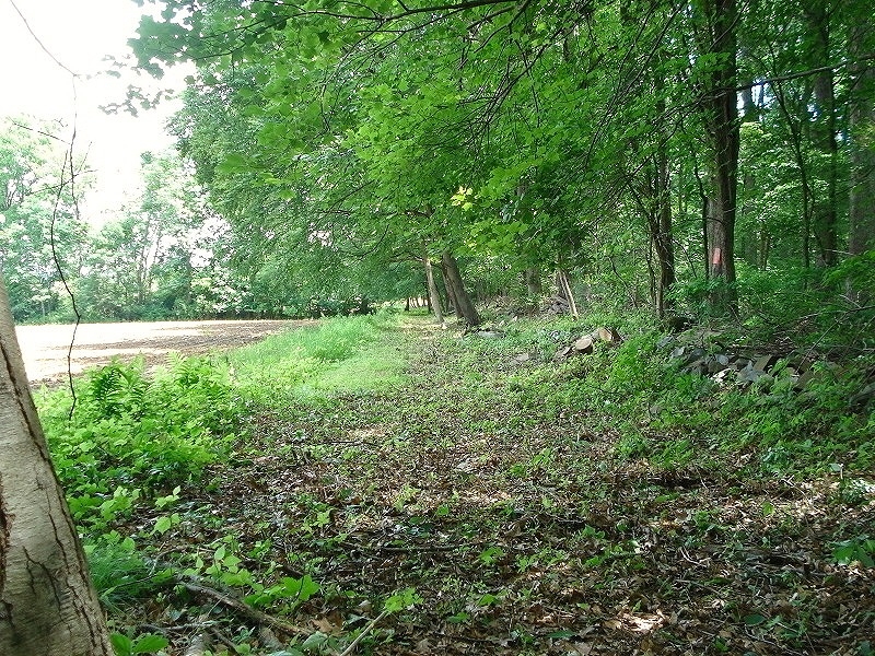 0 Mellicks Woods Rd