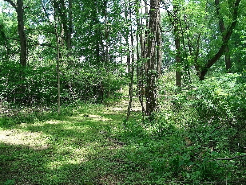 0 Mellicks Woods Rd