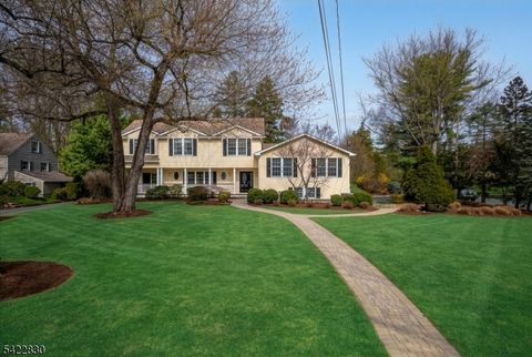 58 Rolling Hill Dr Chatham Twp. NJ 07928