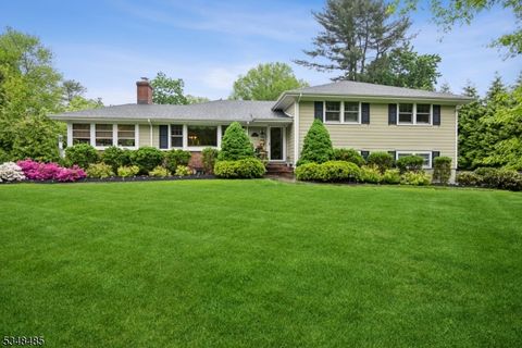 7 Crestview Ave Madison Boro NJ 07940