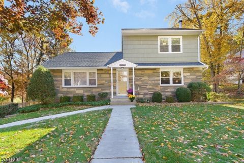 13 Paderewski Rd Jefferson Twp. NJ 07438