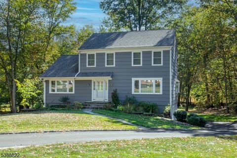 43 Milton Ave Long Hill Twp. NJ 07933