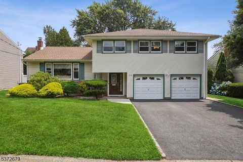 24 Gail Ct Springfield Twp. NJ 07081