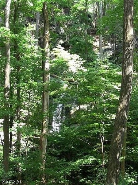 8 Cub Lake Rd