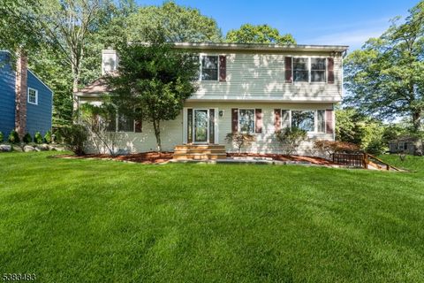 45 Puddingstone Dr Boonton Town NJ 07005