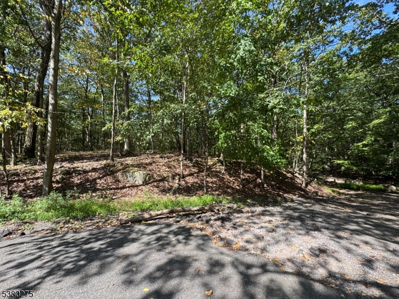 802 Brooklyn Mountain Rd
