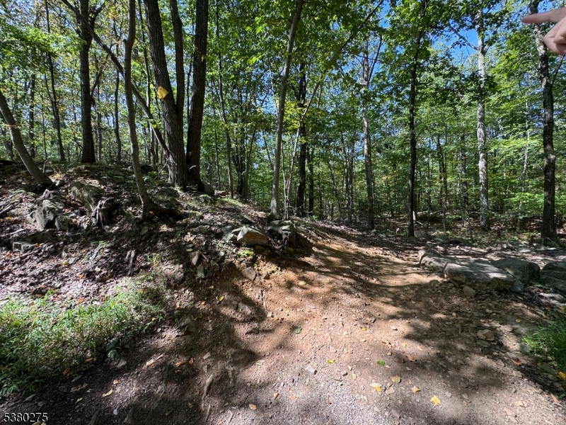 802 Brooklyn Mountain Rd