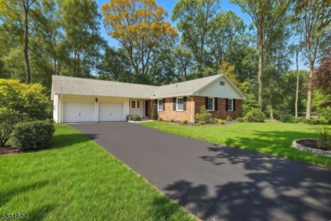 7 Deer Path Green Brook Twp. NJ 08812
