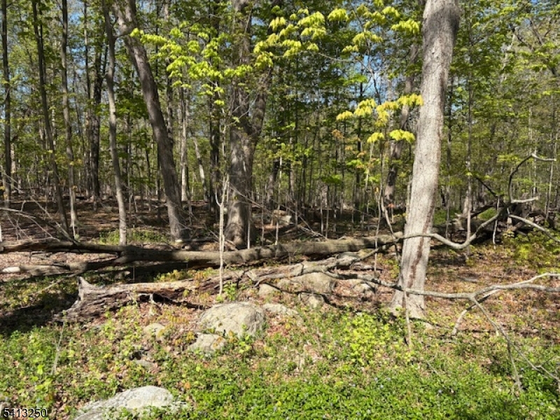 0 Schoolhouse Rd