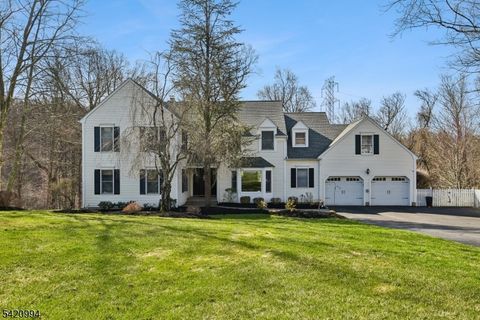 12 Spring Brook Dr Randolph Twp. NJ 07869