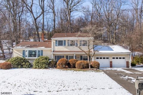 686 Kennedy Dr Washington Twp. NJ 07676